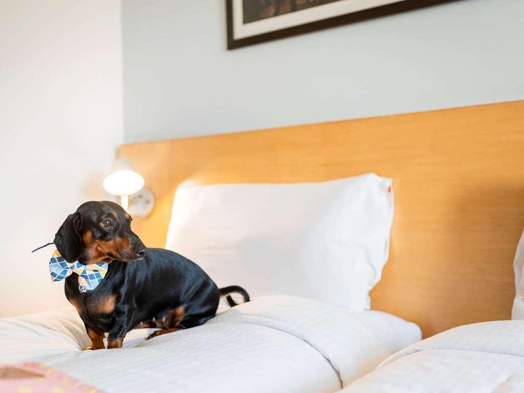 Ibis Jaipur City Centre - An Accor Brand Pokoj fotografie